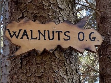 Walnuts Gang